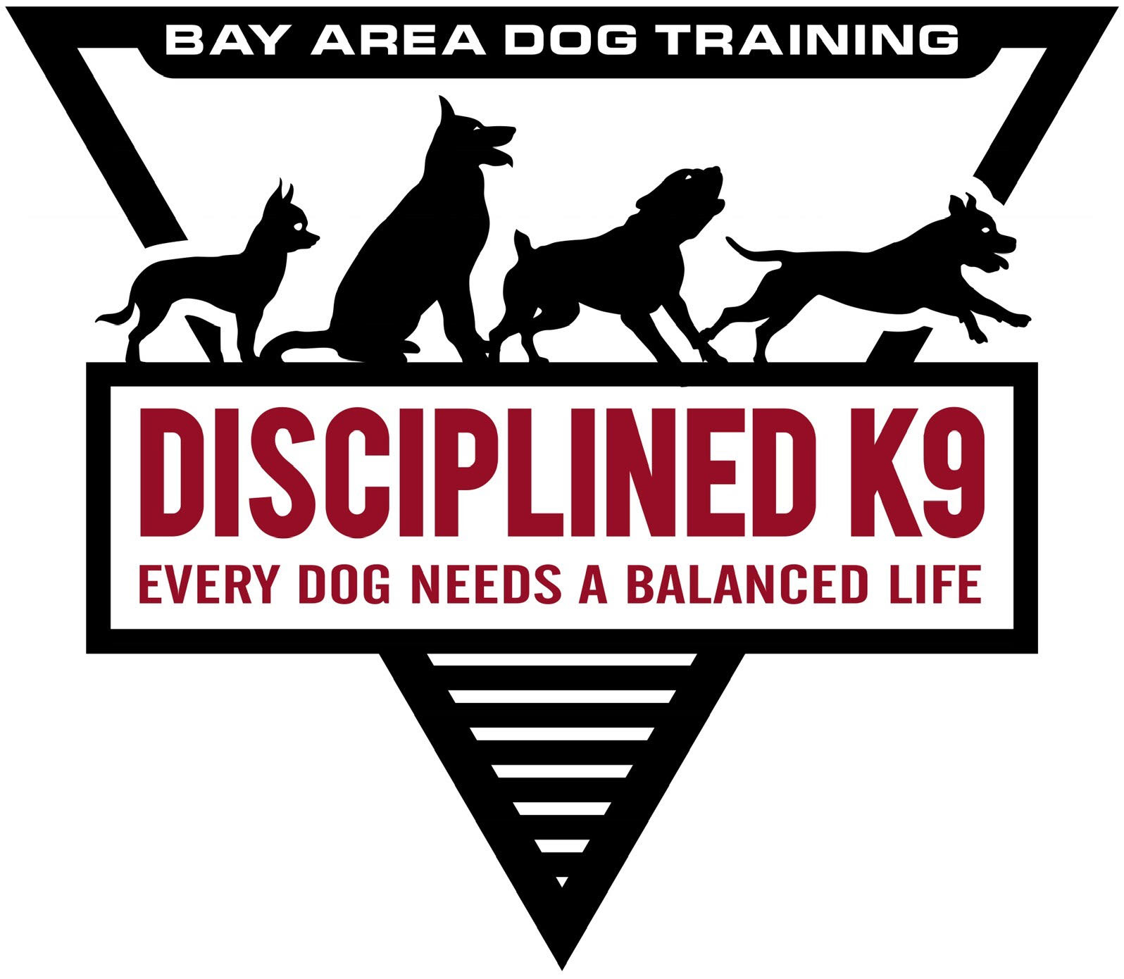 Disciplined K9 Training Logo